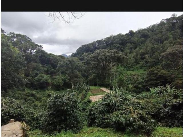 Cortijo de alto standing en venta Boquete, Panamá