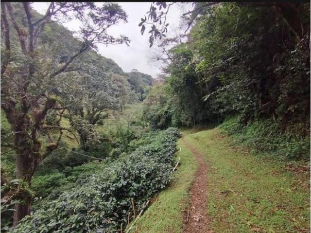 Cortijo de alto standing en venta Boquete, Panamá