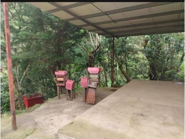 Cortijo de alto standing en venta Boquete, Panamá