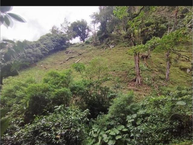 Cortijo de alto standing en venta Boquete, Panamá