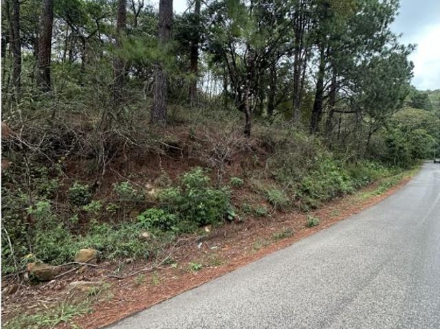 Cortijo de alto standing en venta Boquete, Panamá