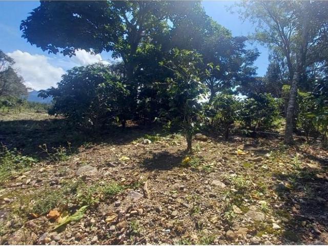 Cortijo de alto standing en venta Boquete, Panamá