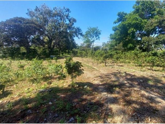 Cortijo de alto standing en venta Boquete, Panamá