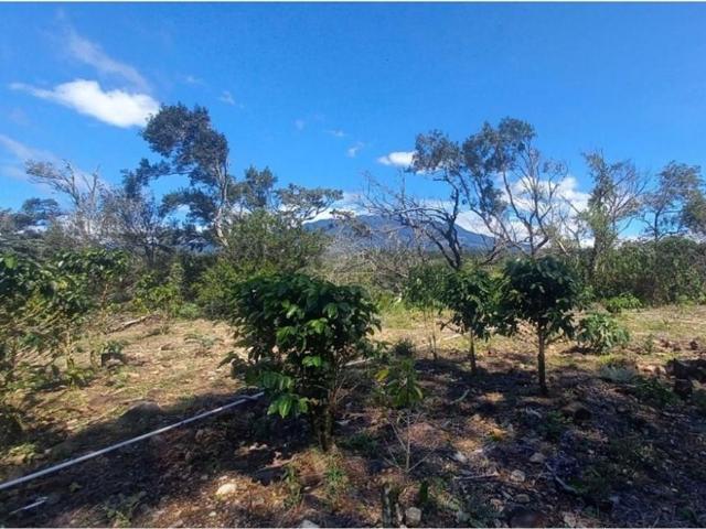 Cortijo de alto standing en venta Boquete, Panamá