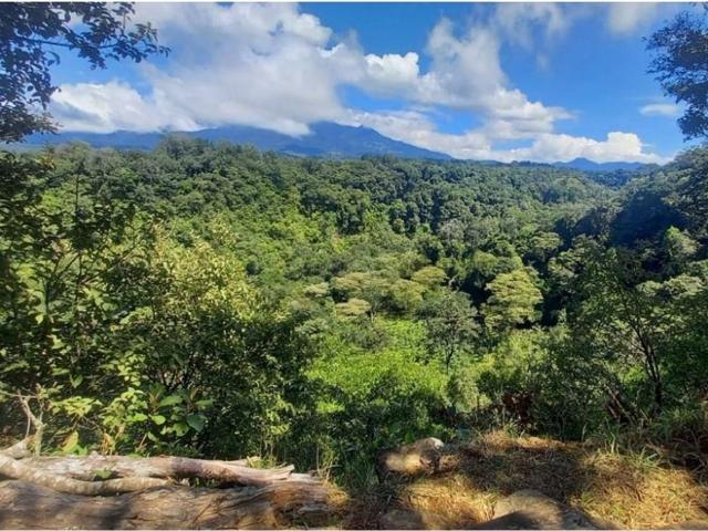 Cortijo de alto standing en venta Boquete, Panamá