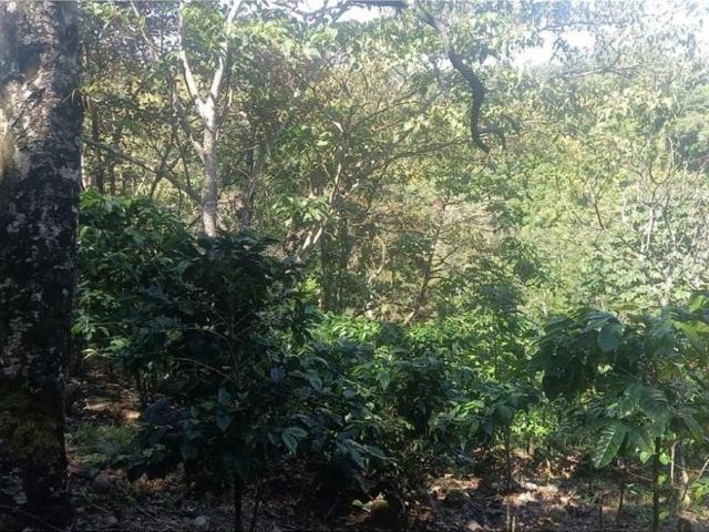 Cortijo de alto standing en venta Boquete, Panamá