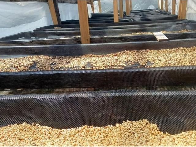 Cortijo de alto standing en venta Boquete, Panamá