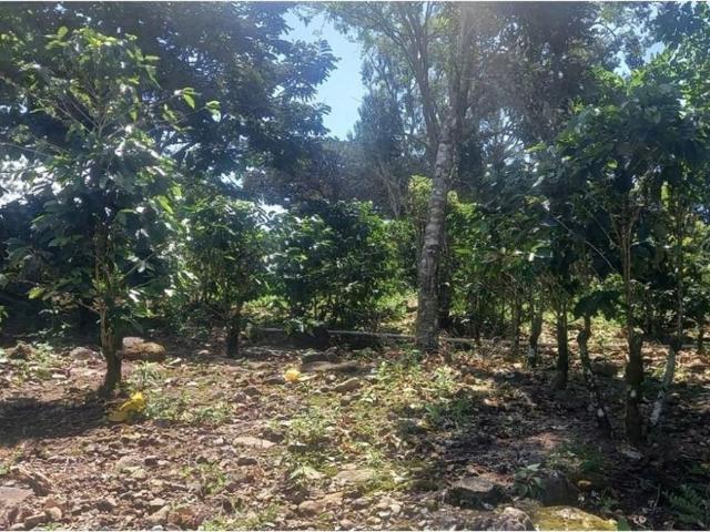 Cortijo de alto standing en venta Boquete, Panamá