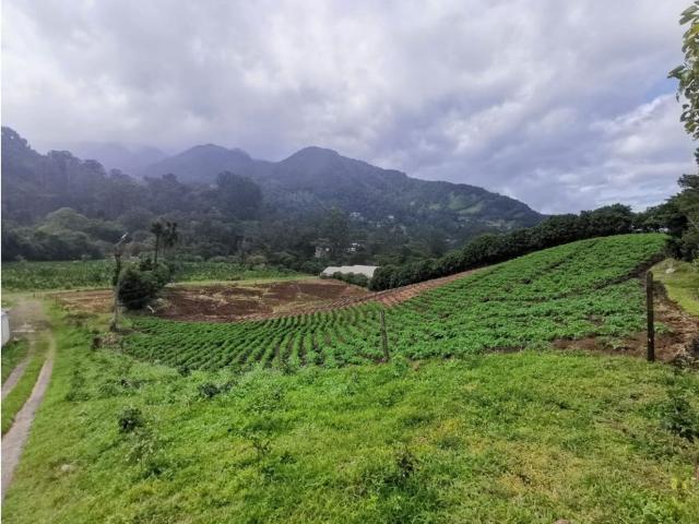 Cortijo de alto standing en venta Boquete, Panamá