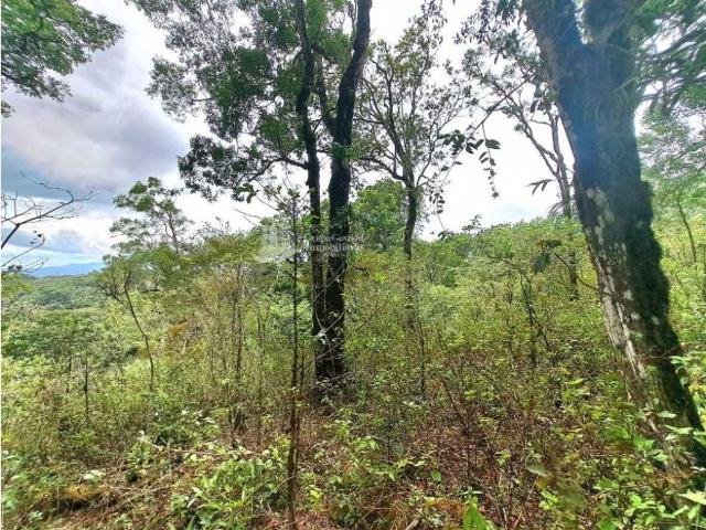 Cortijo de alto standing en venta Boquete, Panamá