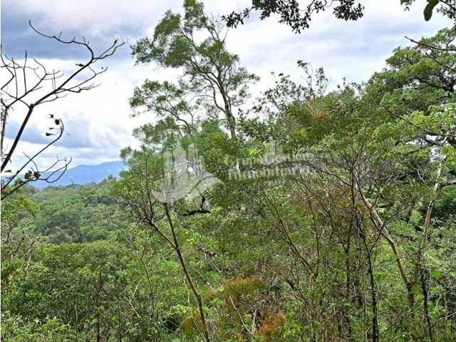 Cortijo de alto standing en venta Boquete, Panamá