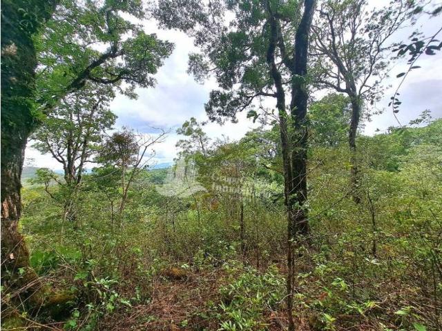 Cortijo de alto standing en venta Boquete, Panamá