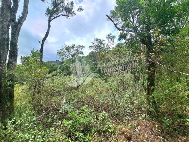 Cortijo de alto standing en venta Boquete, Panamá