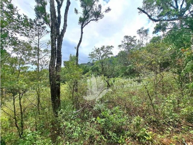 Cortijo de alto standing en venta Boquete, Panamá