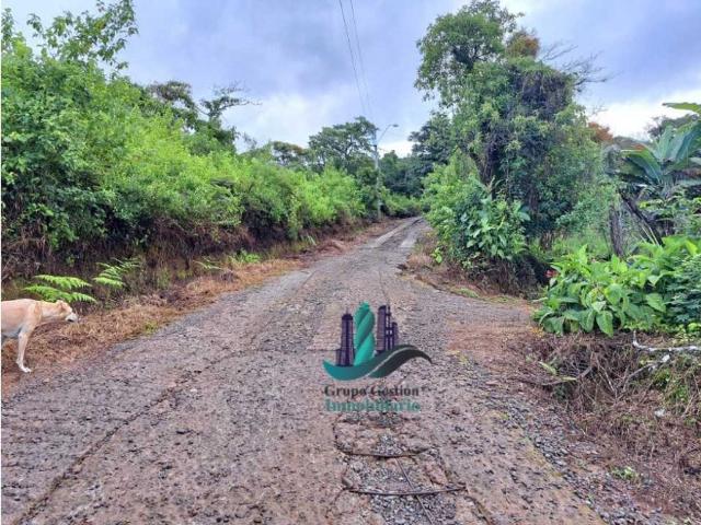 Cortijo de alto standing en venta Boquete, Panamá