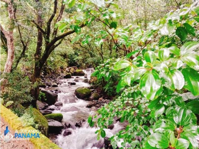 Cortijo de alto standing en venta Boquete, Panamá