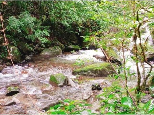 Cortijo de alto standing en venta Boquete, Panamá