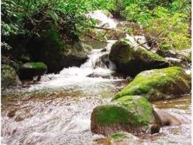 Cortijo de alto standing en venta Boquete, Panamá