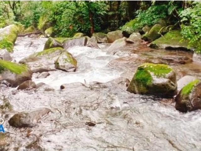 Cortijo de alto standing en venta Boquete, Panamá