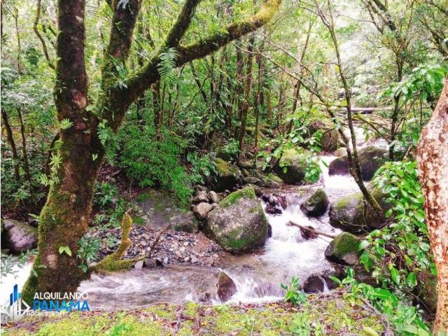 Cortijo de alto standing en venta Boquete, Panamá