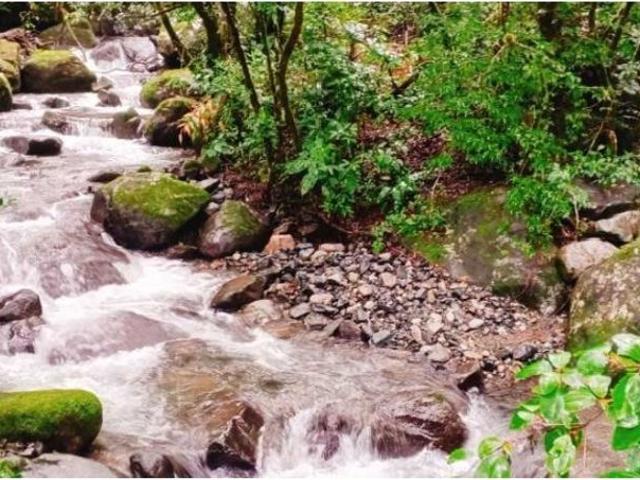 Cortijo de alto standing en venta Boquete, Panamá