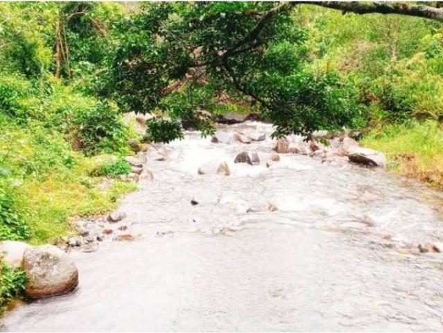 Cortijo de alto standing en venta Boquete, Panamá