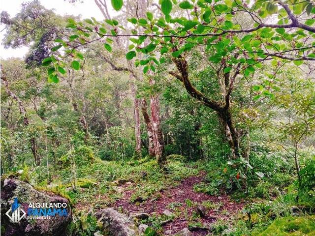 Cortijo de alto standing en venta Boquete, Panamá