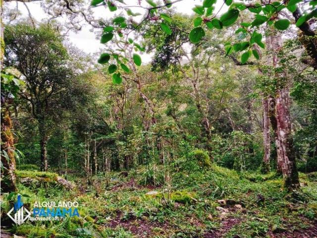 Cortijo de alto standing en venta Boquete, Panamá