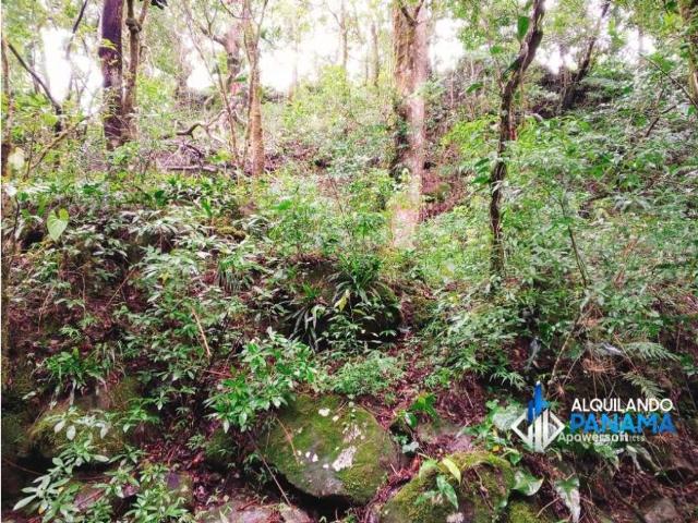 Cortijo de alto standing en venta Boquete, Panamá
