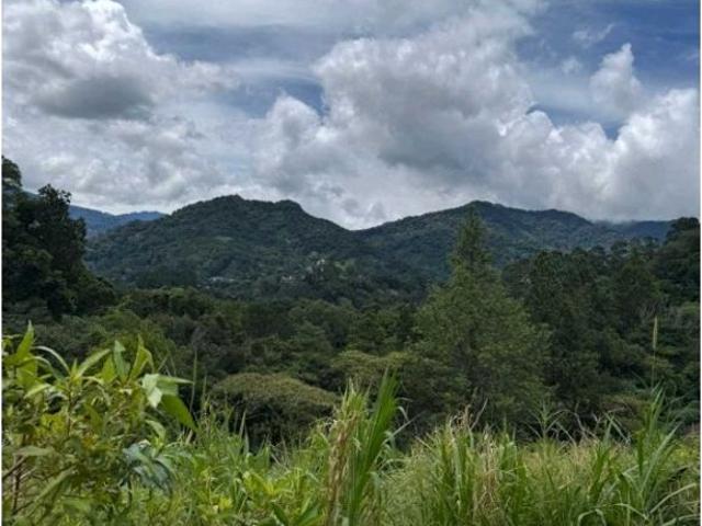 Cortijo de alto standing en venta Boquete, Provincia de Chiriquí