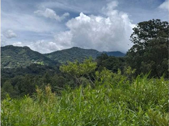 Cortijo de alto standing en venta Boquete, Provincia de Chiriquí