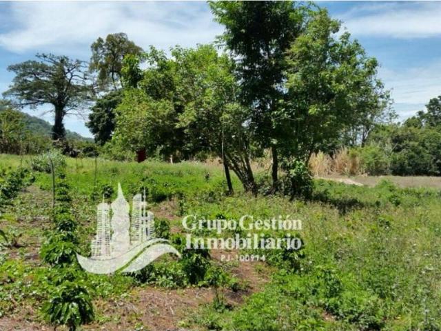 Cortijo de alto standing en venta Boquete, Provincia de Chiriquí