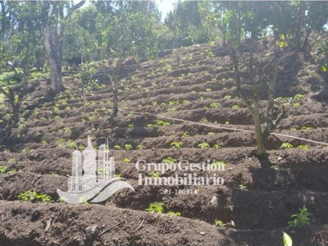 Cortijo de alto standing en venta Boquete, Provincia de Chiriquí