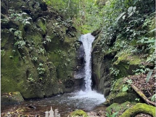 Cortijo de alto standing en venta Boquete, Provincia de Chiriquí