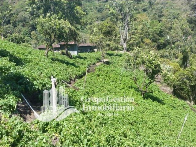 Cortijo de alto standing en venta Boquete, Provincia de Chiriquí