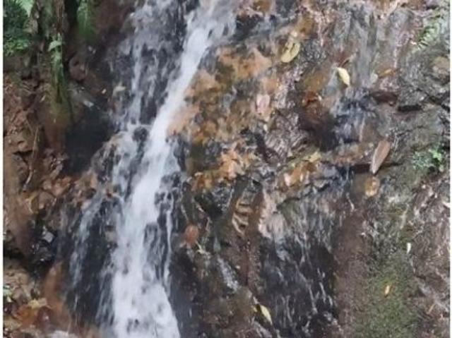 Cortijo de alto standing en venta Boquete, Provincia de Chiriquí