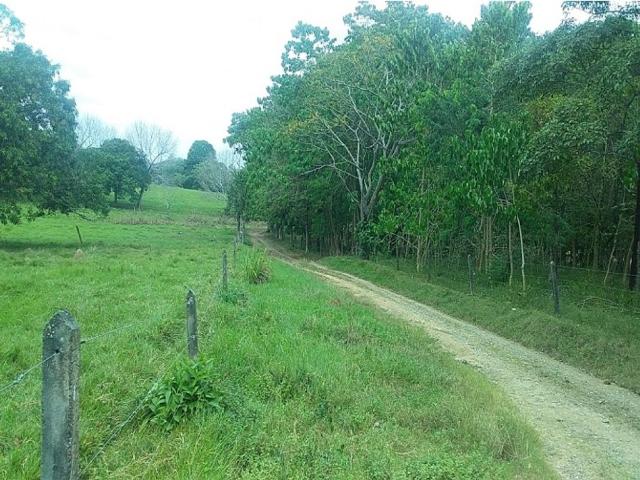 Finca en venta en Córdoba