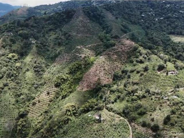 Finca en venta en Caicedonia, Nororiente