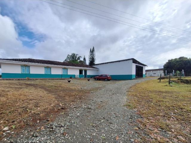 Finca en venta en Caicedonia, Valle Del Cauca