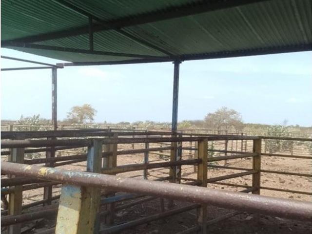 Propiedad en venta en Calabozo, Guárico