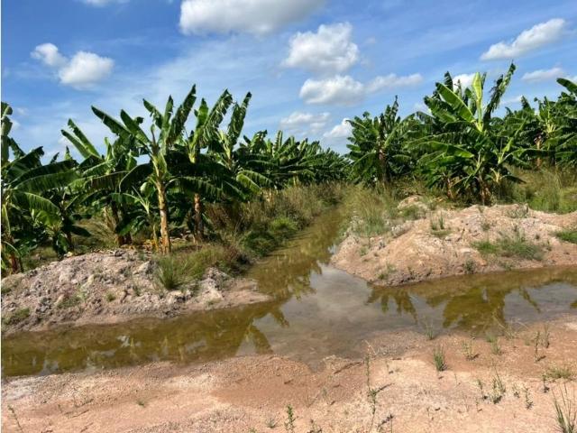 Propiedad en venta en Calabozo, Guárico