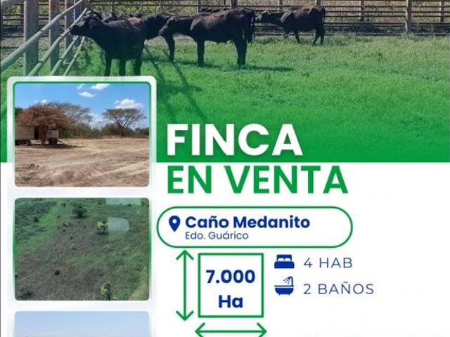 Propiedad en venta en Guárico