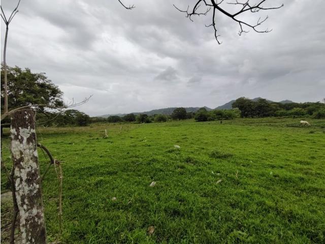 Cortijo de alto standing en venta Capira, Panamá
