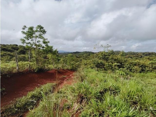 Cortijo de alto standing en venta Capira, Panamá Oeste
