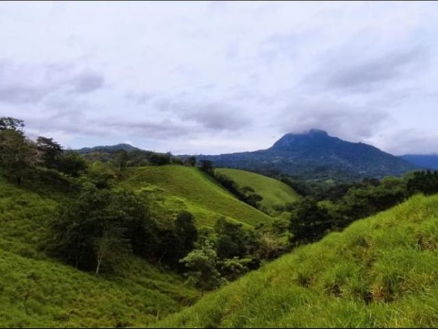 Cortijo de alto standing en venta Capira, Panamá Oeste