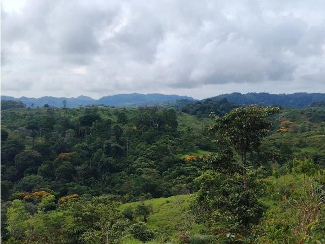Cortijo de alto standing en venta Capira, Panamá Oeste