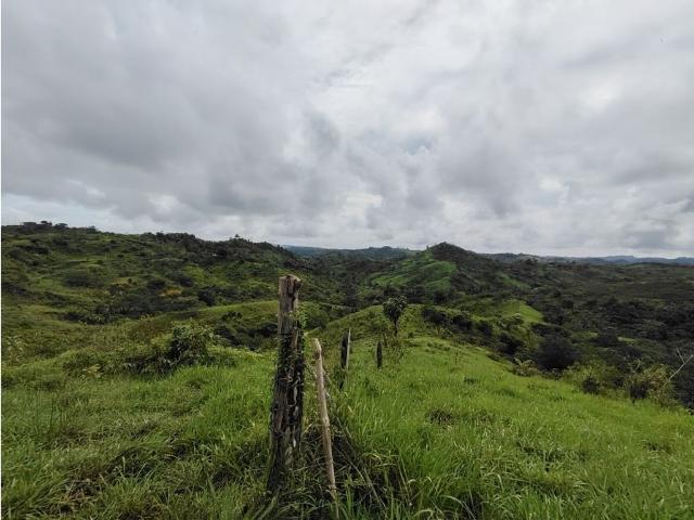 Cortijo de alto standing en venta Capira, Panamá Oeste