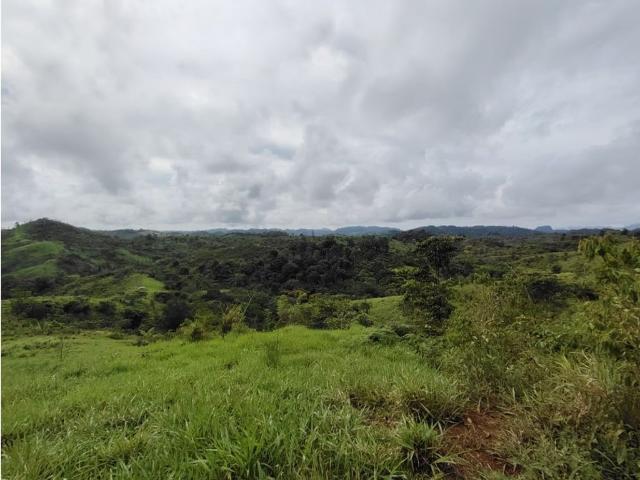 Cortijo de alto standing en venta Capira, Panamá Oeste