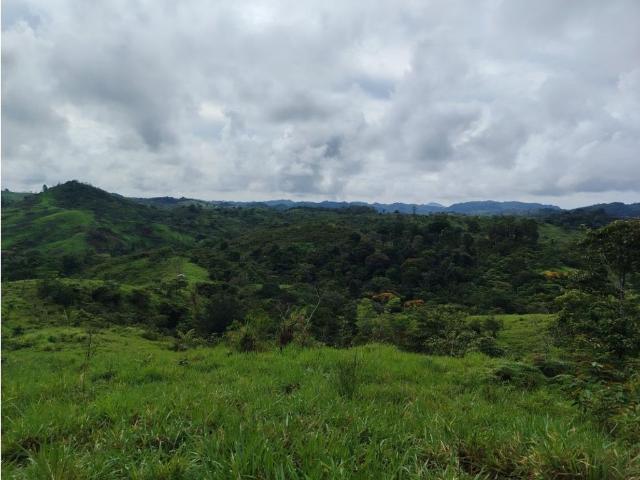 Cortijo de alto standing en venta Capira, Panamá Oeste