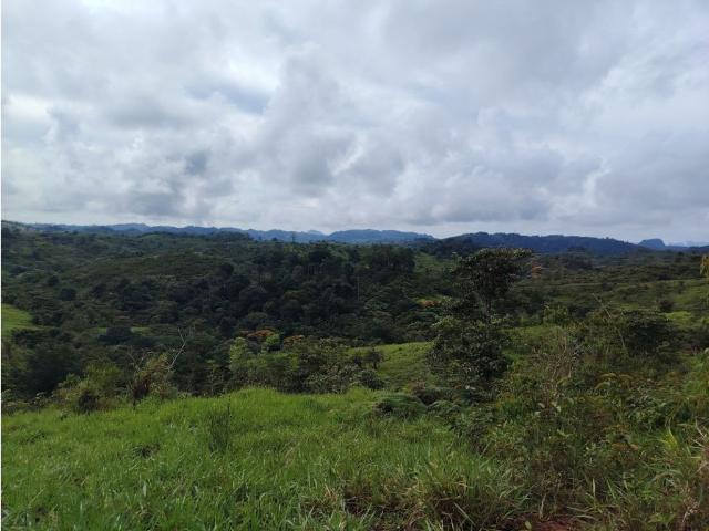 Cortijo de alto standing en venta Capira, Panamá Oeste
